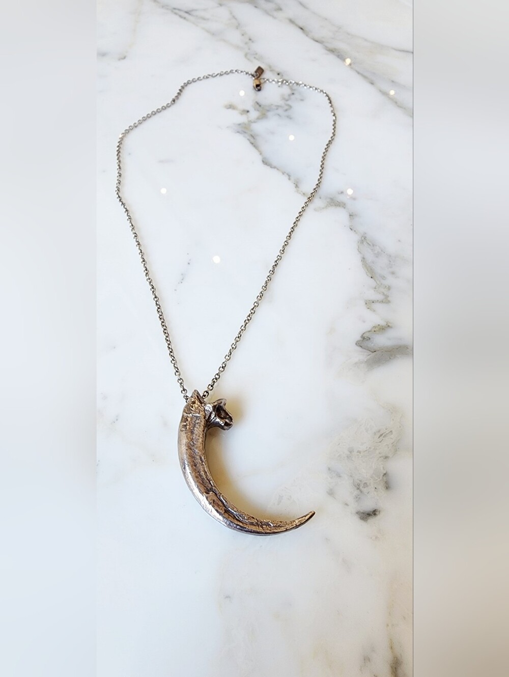 Pamela Love Rare Silver Eagle Talon Necklace